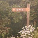 유정사 티스토리