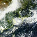 순천-14호 이미지