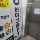 현풍농업협동조합 | [대구/달성군] 현풍 하이그룹피티 3회 체험 후기 💪🔥