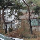벌말 도당굿 및 도당 이미지