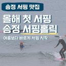 [송정 서프홀릭] 여름보다 빠르게 서핑 시작하기🏄‍♀️