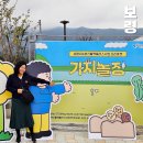 아이놀이터공동체사업단 | 충남 보령 가볼만한곳 아이와 보령시 농촌신활력플러스사업 가치놀장