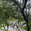 벌꿀목장 | the Bee 🐝 더비, 광주근교 아기랑 대형카페, 벌꿀디저트&amp;베이커리