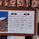 원이조 이미지