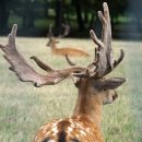 보광약업사 이미지