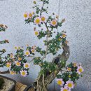 혜윰한의원 이미지