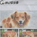 고집 이미지