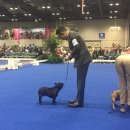 Jena house 이미지