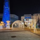 보령장식