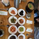 고향맛 | [신안 증도 맛집] 진하고 고소한 신안의 맛, '고향식당' 짱뚱어탕 내돈내산 솔직 후기 🐟🍲