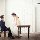 피오나 이미지
