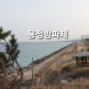 용정낚시 네이버블로그
