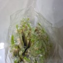 이엠팩토리