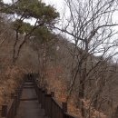 들국화목장 이미지