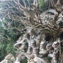 마블렌트카 이미지