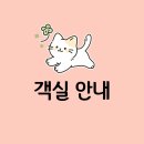 고양이의 봄, 묘랑묘랑 네이버블로그