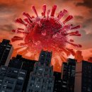 대구광역시 도시관리본부 이미지