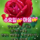 5월 28일 수요일 간추린 뉴스와 날씨 이미지