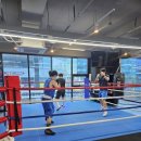 팀몬스터 복싱 이미지