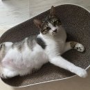 자기가 누군지, 이 세상이 뭔지 제대로 알고 싶다면? 이미지