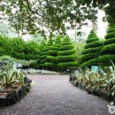 (주)행복나라여행사 이미지