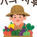 구좌유기농 이미지