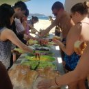 (주)비티시 | [호주 워킹홀리데이 브리즈번] 모튼섬(모튼아일랜드) 액티비티 3종 경험 후기_브리즈번 갈만 한 곳 추천!