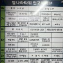 라울뷰티 네이버블로그