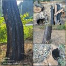 덕천마을(참소슬마을) 이미지