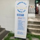 오묘 고양이카페호텔미용 이미지