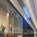 샤넬피씨 이미지