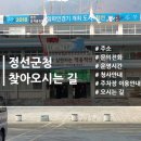 강원특별자치도 정선군청 대회의실 | 강원특별자치도 정선군청 찾아 오시는길