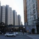 비전미소약국 이미지