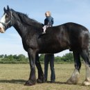 유순농장 이미지