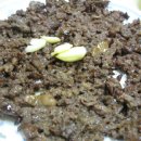 이모백반 이미지