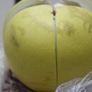 서주식당