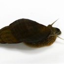 더듬이PC 이미지