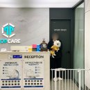 일산제일동물병원 네이버블로그