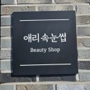 애리속눈썹