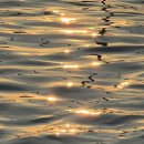 인디고펜션 이미지