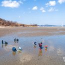 인천 황산도 인천투데이