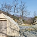 은하수 펫푸드 | 강원도 평창 애견동반 캠핑장 산너미목장 캠핑장, 육십마지기 (두번째 애견동반 캠핑 여행)