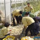 천평2리 이미지