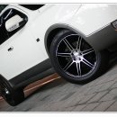 씨티블랙 이미지