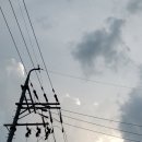 성북파출소 이미지