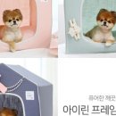 따스하개 이미지