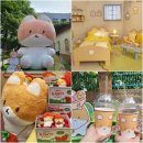 경동(성수)유치원 | 터래기 팝업스토어 인형 집들이 온라인 현장 예약 테이블링 일반관람 후기