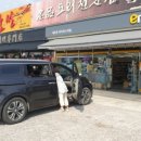 창녕동애등에 네이버블로그