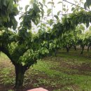 봉기농장 이미지