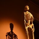 다사랑한의원 이미지